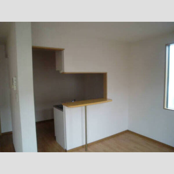 その他 (カウンター)