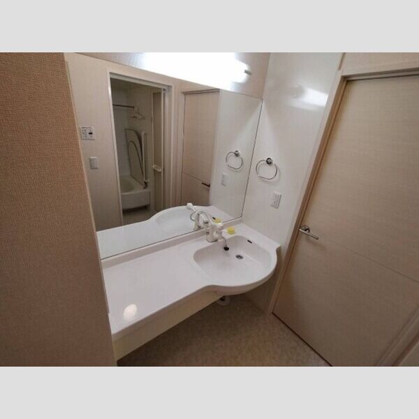 洗面所 (カウンター洗面台)