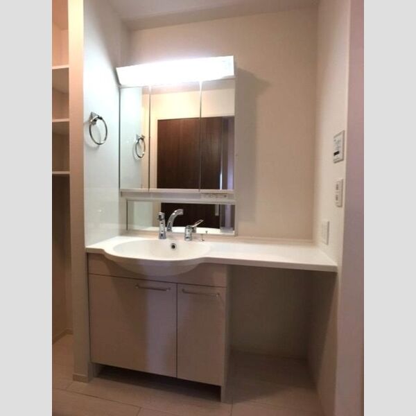 洗面所 (三面鏡・整理棚付きカウンター洗面台)