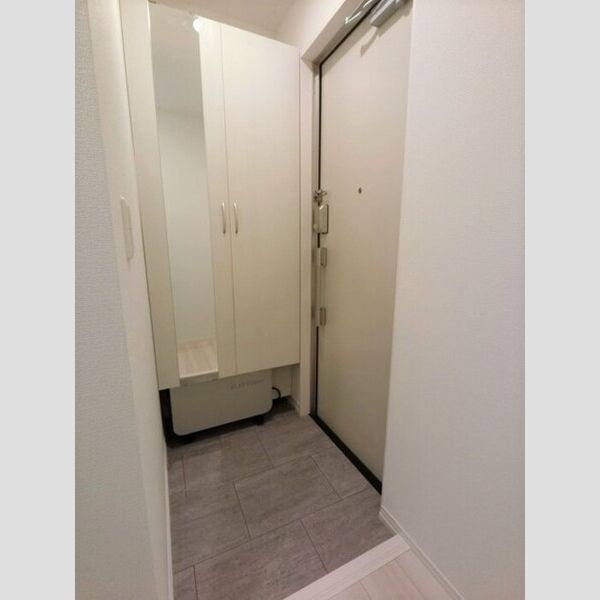 玄関 (玄関　鏡付きシューズボックス付き)