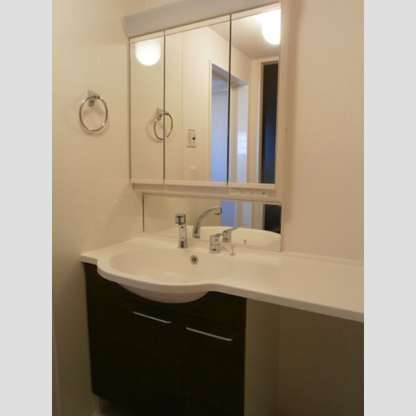 洗面所 (カウンター洗面台)