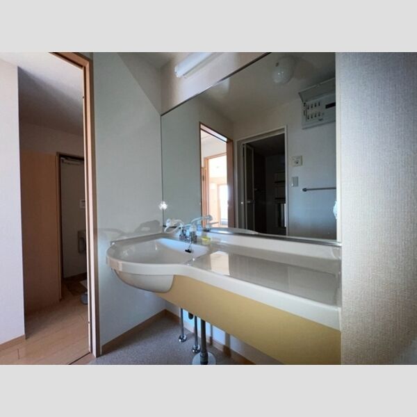 洗面所 (カウンター洗面台)