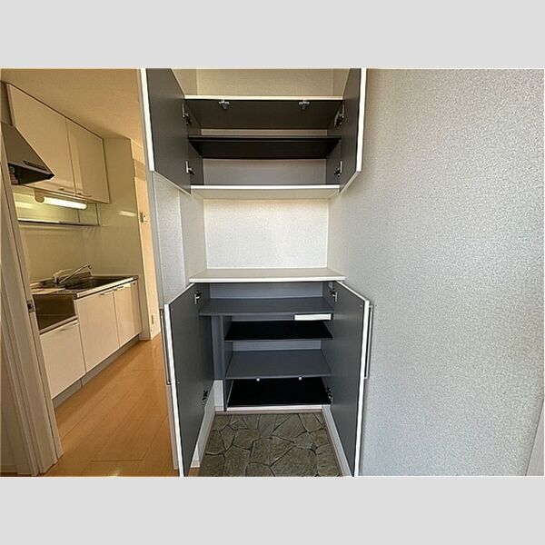 玄関 (シューズボックス)