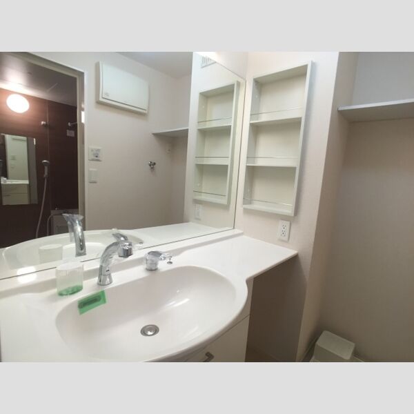 洗面所 (カウンター洗面台)