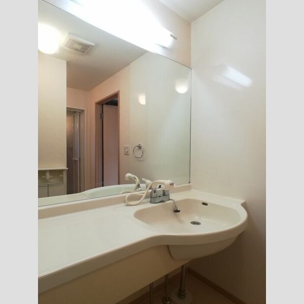 洗面所 (カウンター洗面台)