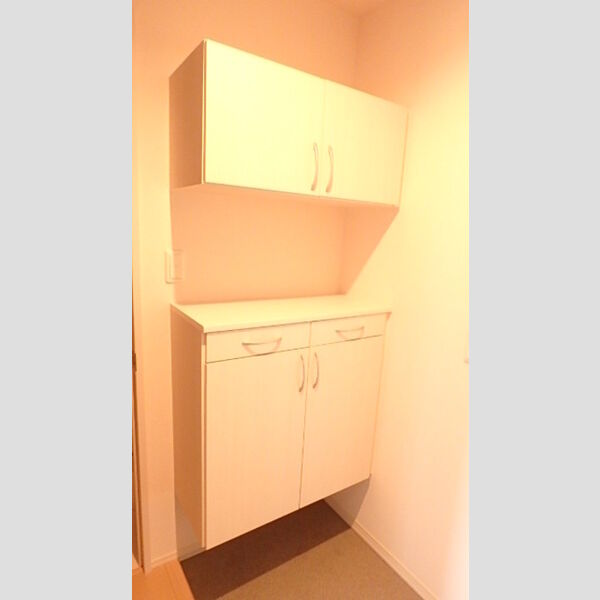 玄関 (シューズボックス)