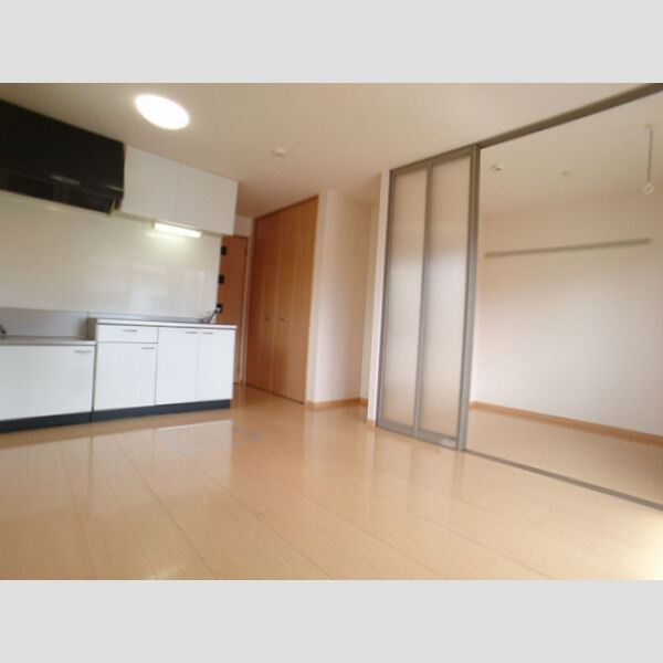 居室・リビング (LDK)