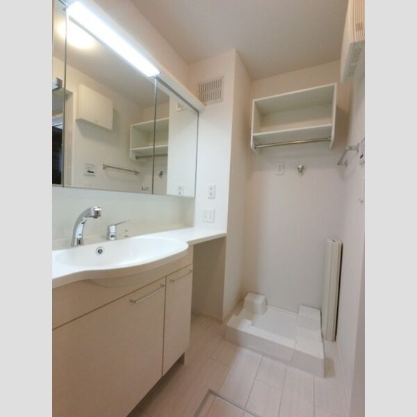 洗面所 (三面鏡(整理棚付き)洗髪洗面化粧台と洗濯機置き場)