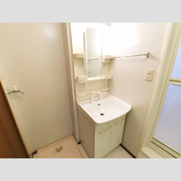 洗面所 (大きなボウルの散発洗面化粧台)