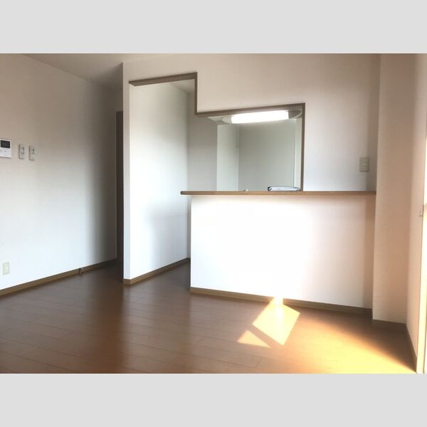 その他 (カウンターキッチン)