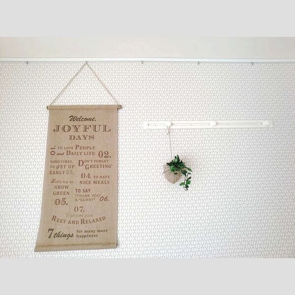 その他 (ピクチャーレールとハングバー)