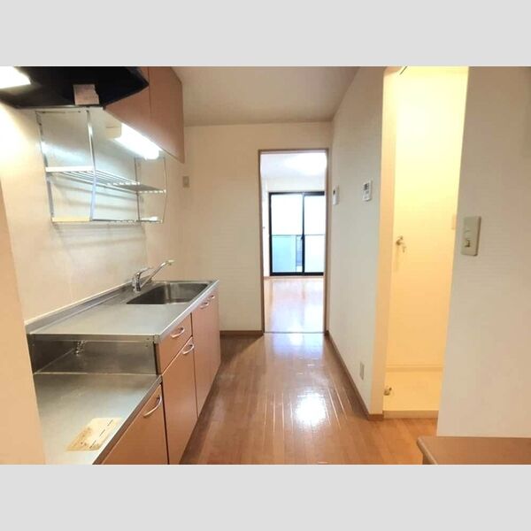 その他 (玄関～洋室)