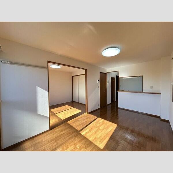 居室・リビング (LDK)