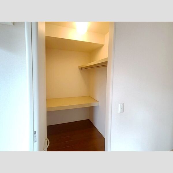 収納 (ウォークインクローゼット)