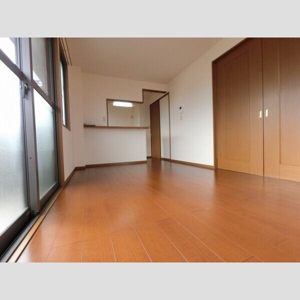 居室・リビング (LDK)