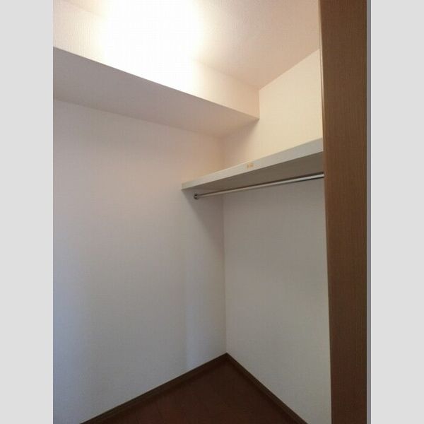 収納 (洋室・ウォークインクローゼット)