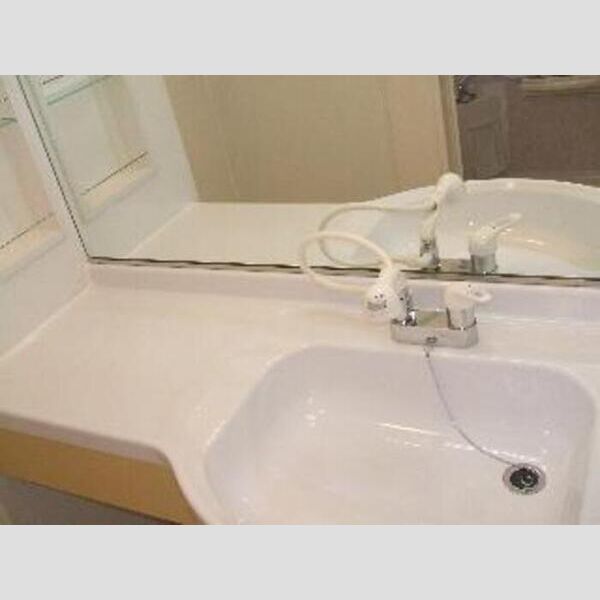 洗面所 (1,200幅の洗面カウンター)