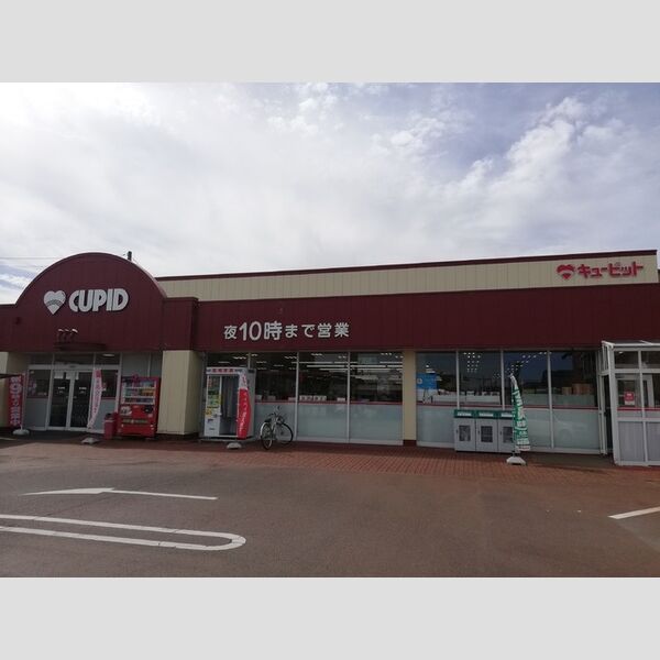 現地周辺 (キューピット豊栄店(870m))