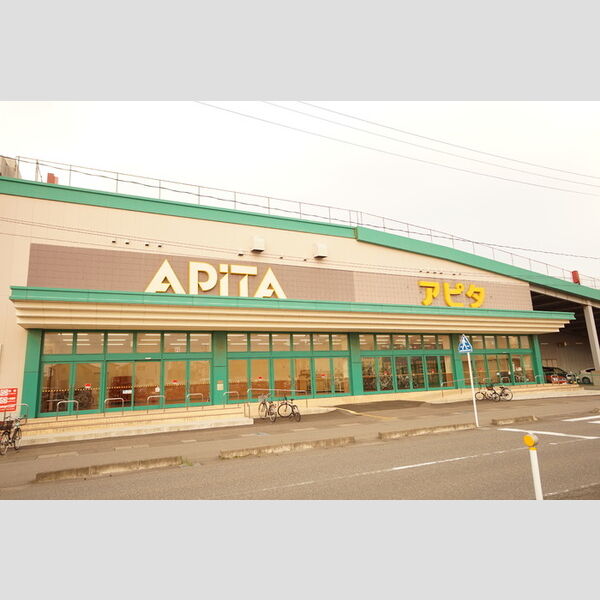 現地周辺 (アピタ新潟西店(953m) 徒歩12分)