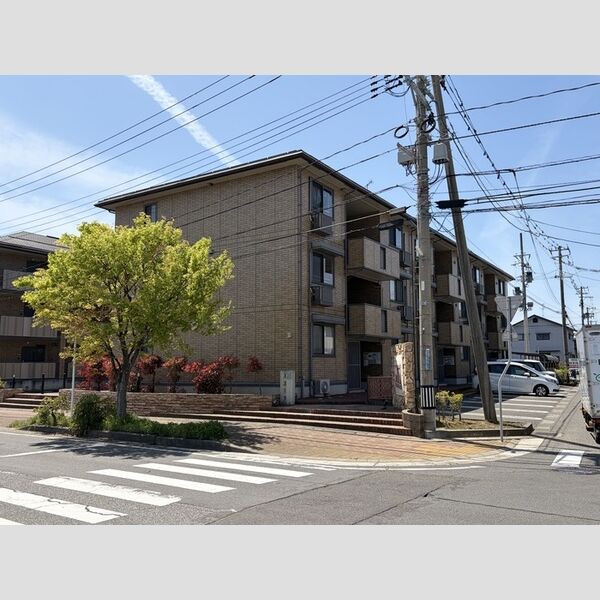 建物外観 (外観)