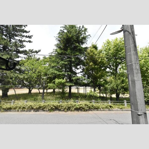 現地周辺 (洋室からの眺望)