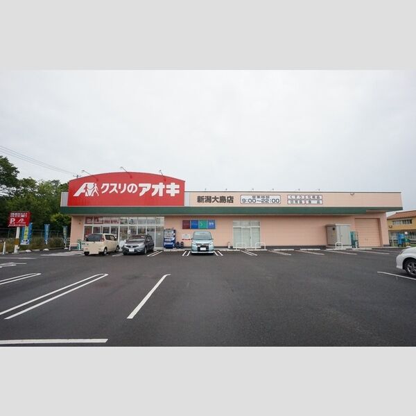 現地周辺 (クスリのアオキ 新潟大島店)