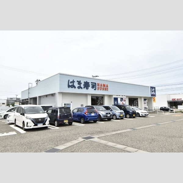 現地周辺 (はま寿司 新潟女池店)