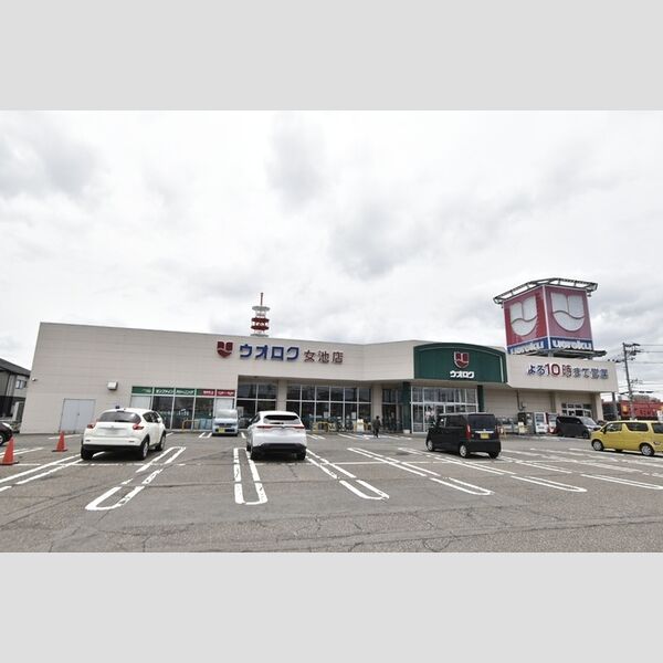 現地周辺 (ウオロク 女池店)