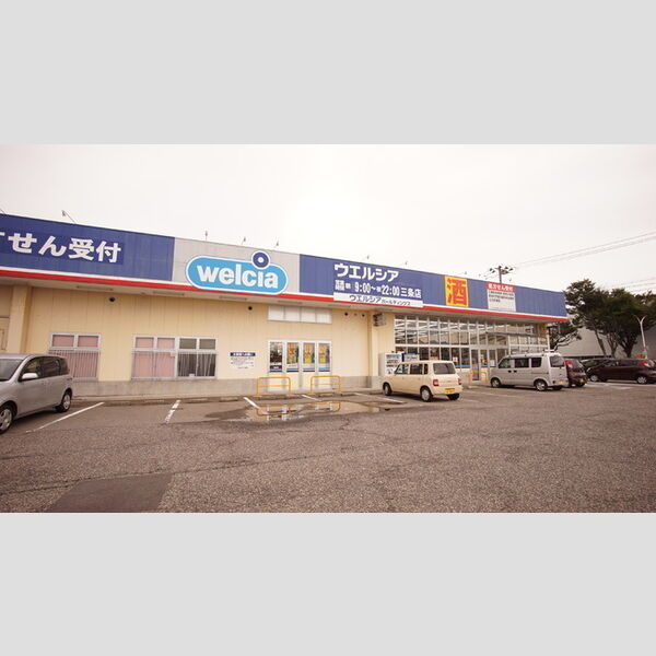 現地周辺 (ウエルシア三条店)
