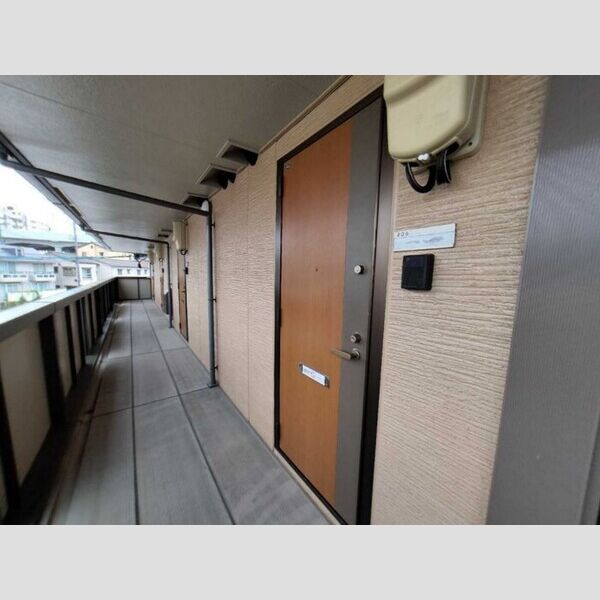 エントランス (玄関ドア付近)