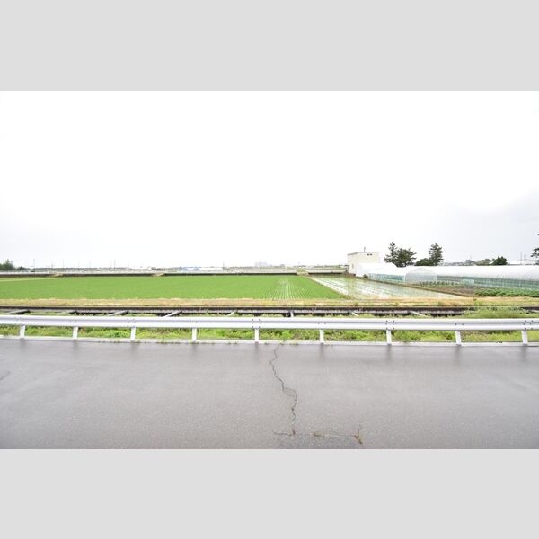 現地周辺 (眺望)