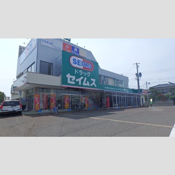 現地周辺 (ドラッグセイムス中山店(550m))