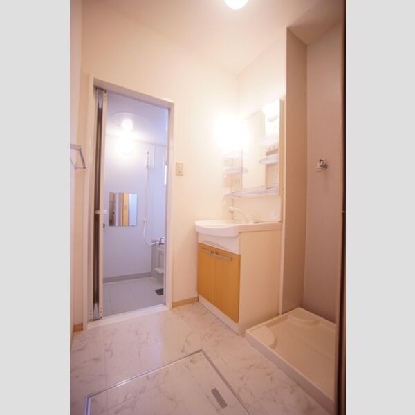 洗面所 (洗面所)