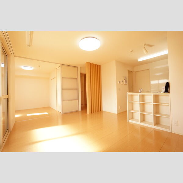 その他 (LDK~洋室③)