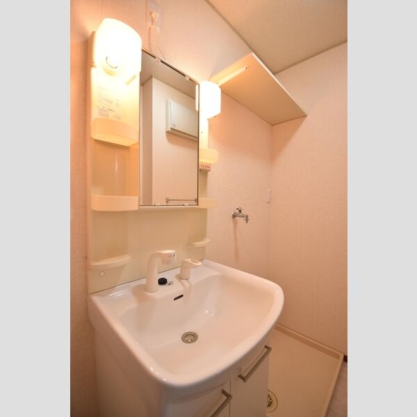 洗面所 (洗面所)