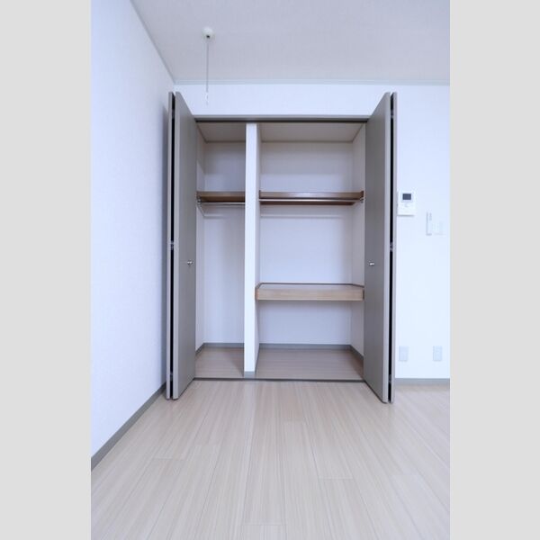 収納 (クローゼット)