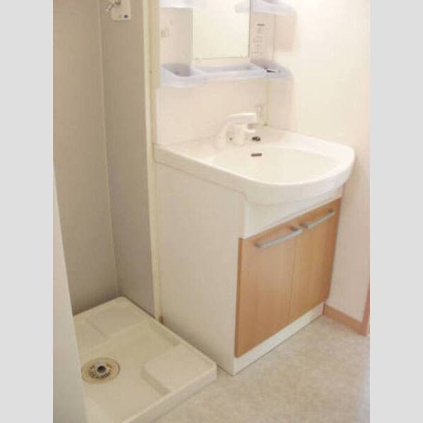 洗面所 (洗髪洗面化粧台、洗濯機置き場)