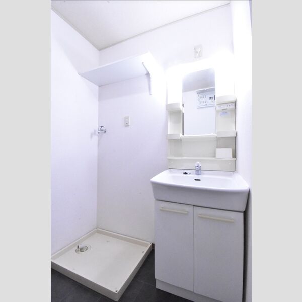 洗面所 (洗面台　室内洗濯機置場)