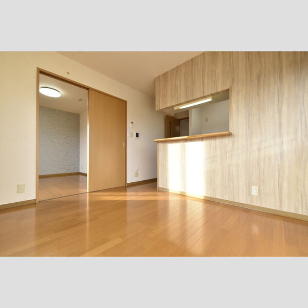 居室・リビング (DK)