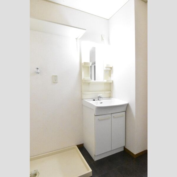 洗面所 (洗面台 室内洗濯機置き場)