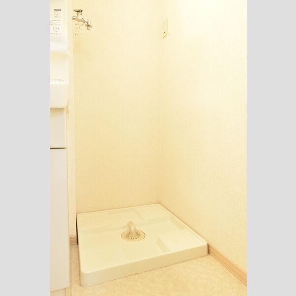 その他 (室内洗濯機置場)