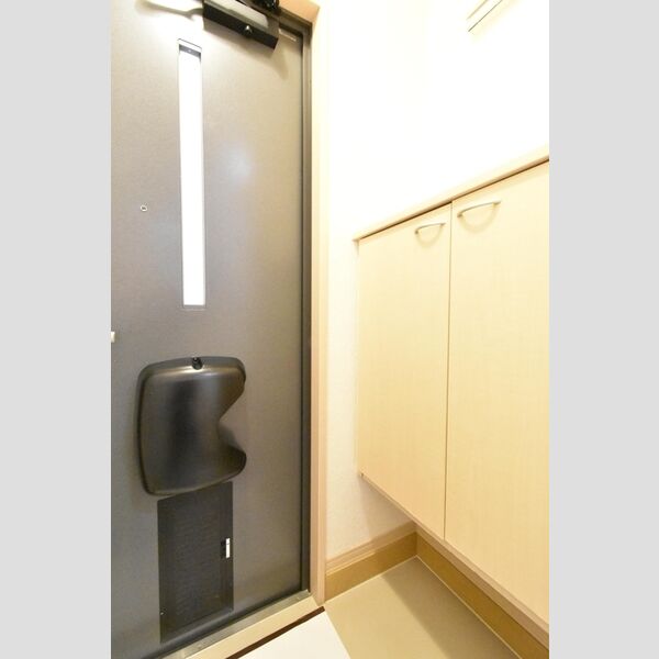 玄関 (玄関　シューズボックス(カウンタータイプ))