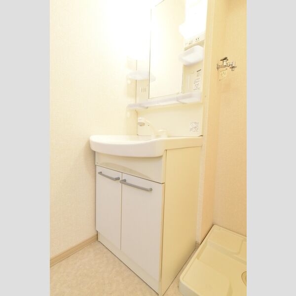 洗面所 (洗髪洗面化粧台　室内洗濯機置場)