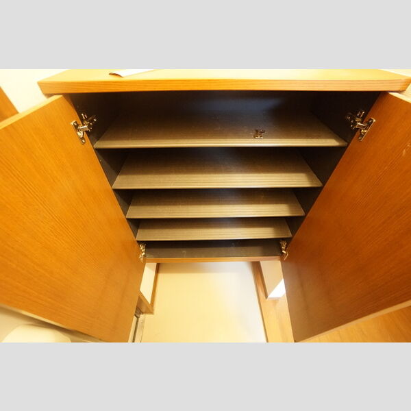 その他 (シューズボックス)