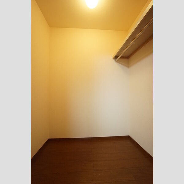 収納 (洋室ウォークインクローゼット)