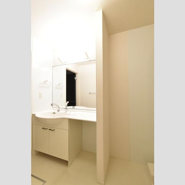 洗面所 (洗髪洗面化粧台　室内洗濯機置場)