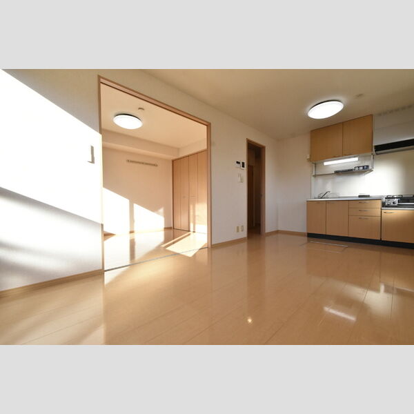 居室・リビング (LDK)