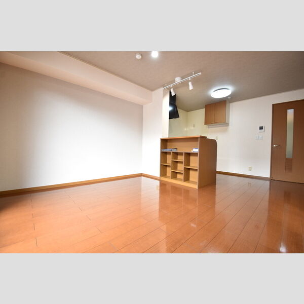 居室・リビング (LDK)