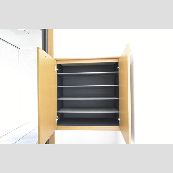 その他 (シューズボックス)