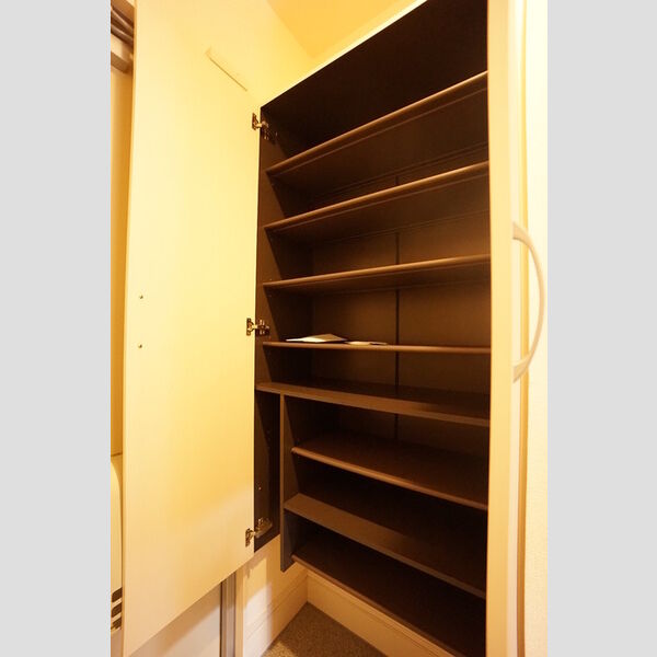 その他 (シューズボックス)